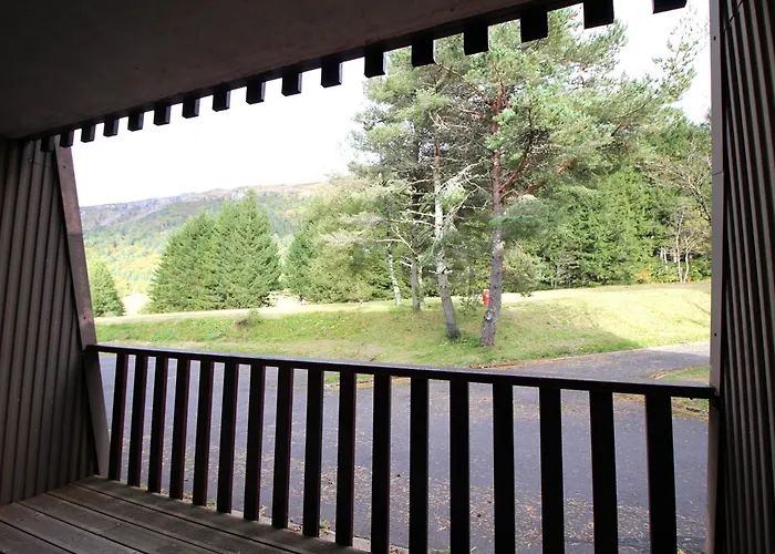 F2 Au Pied Des Pistes Avec Parking Et Balcon - 6 Pers. - Fr-1-415-199 Lägenhet Mont-Dore